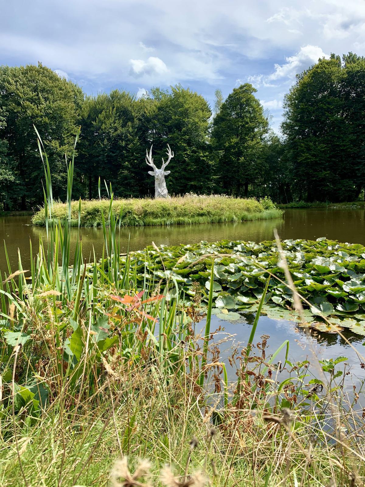 „Kurfürsten-Runde“ – Naturerlebnis auf den Spuren von Clemens August