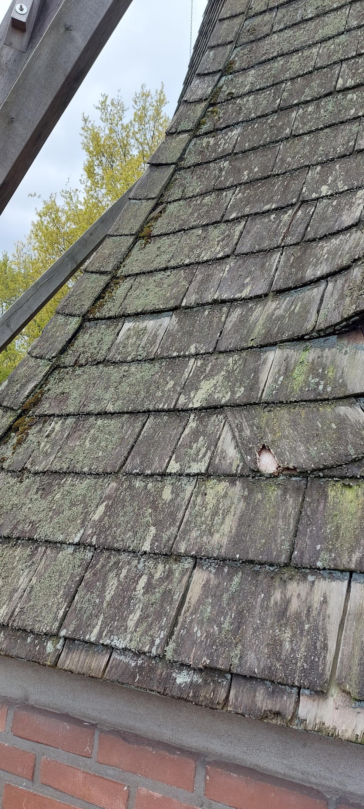 Harener Mersmühle: Zum Geburtstag fein herausgeputzt Harener Mersmühle: Zum Geburtstag fein herausgeputzt