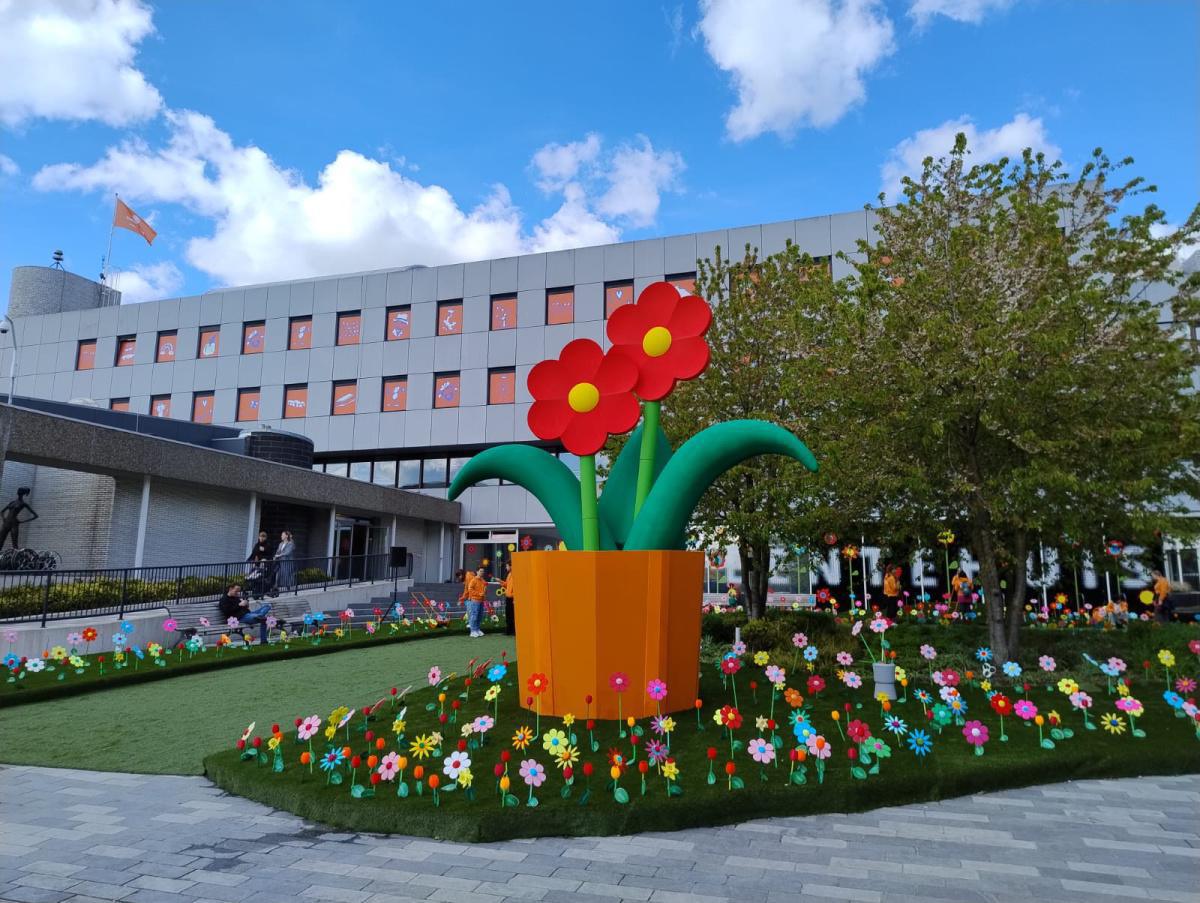 Emmen rollt für den König einen orangefarbenen Teppich aus Emmen rollt für den König einen orangefarbenen Teppich aus