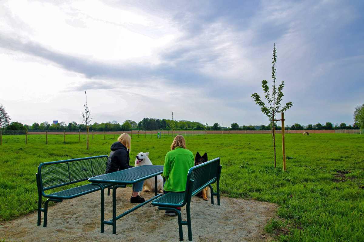 Freiheit auf vier Pfoten: Entdecke Harens neuen Hotspot für glückliche Hunde! Freiheit auf vier Pfoten: Entdecke Harens neuen Hotspot für glückliche Hunde!