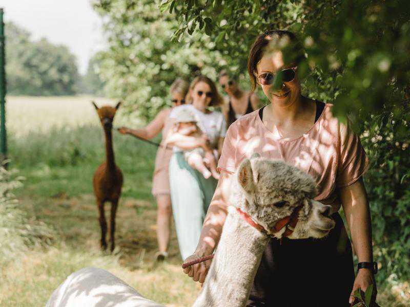 Alpakazucht Büter Alpakazucht Büter