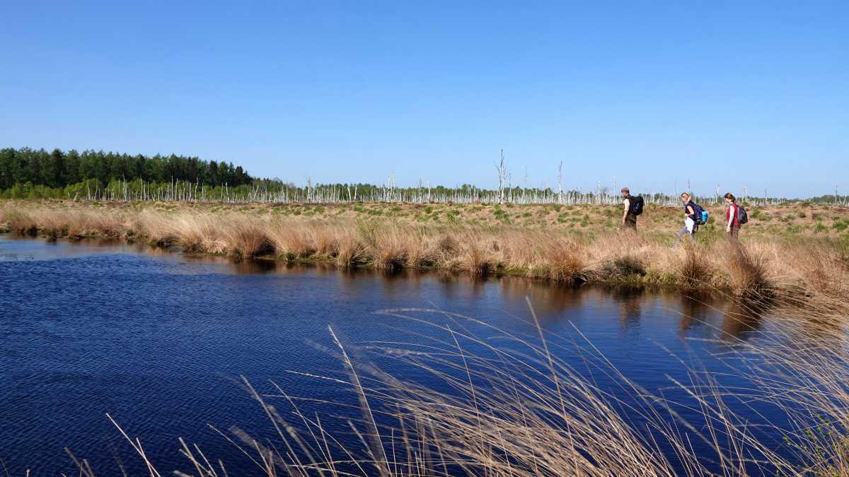 Naturpark Hümmling Naturpark Hümmling