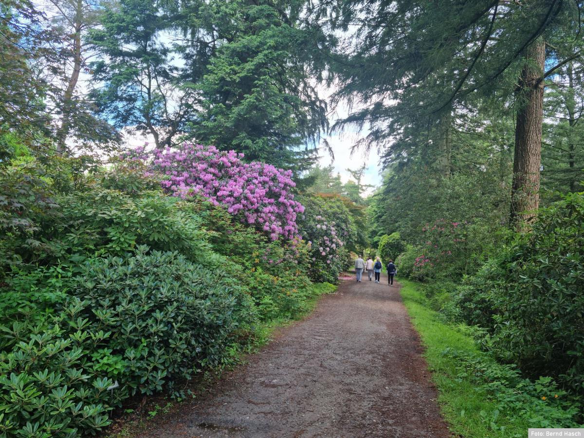 Harener Senioren: Besuch des Hobbie Rhododendronparks in Westerstede