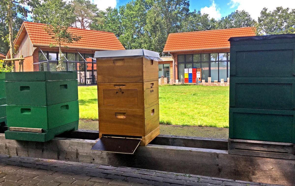 Sommerfest am Deutsch-Niederländischen Bienenzentrum Sommerfest am Deutsch-Niederländischen Bienenzentrum