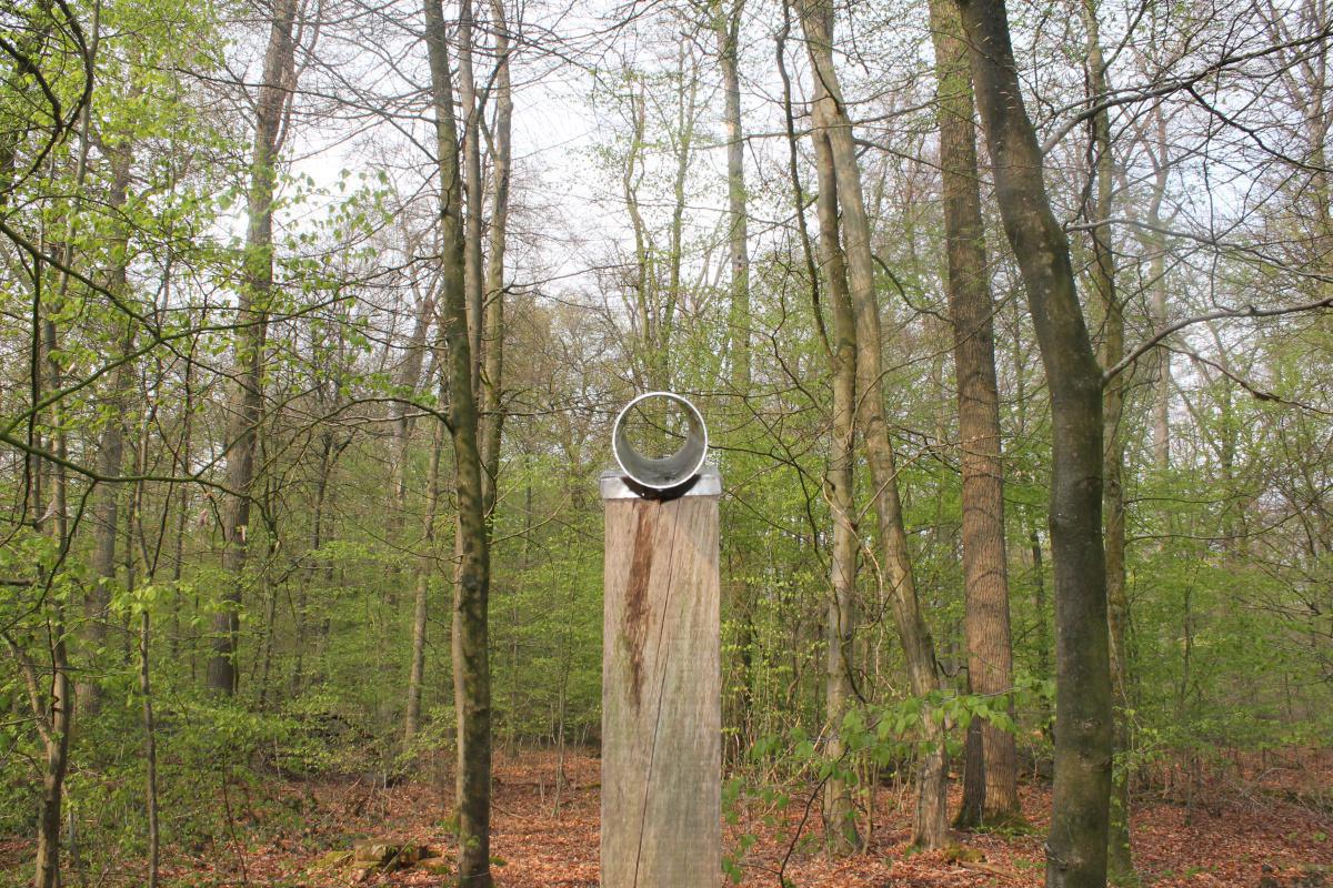 Auf ins Abenteuer! – Erlebnispfade für große und kleine Entdecker im herbstlichen Emsland Auf ins Abenteuer! – Erlebnispfade für große und kleine Entdecker im herbstlichen Emsland