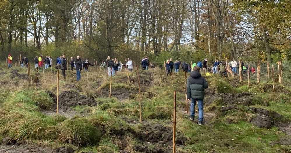 Gymnasium Marianum hat jetzt eigenen Schulwald Gymnasium Marianum hat jetzt eigenen Schulwald