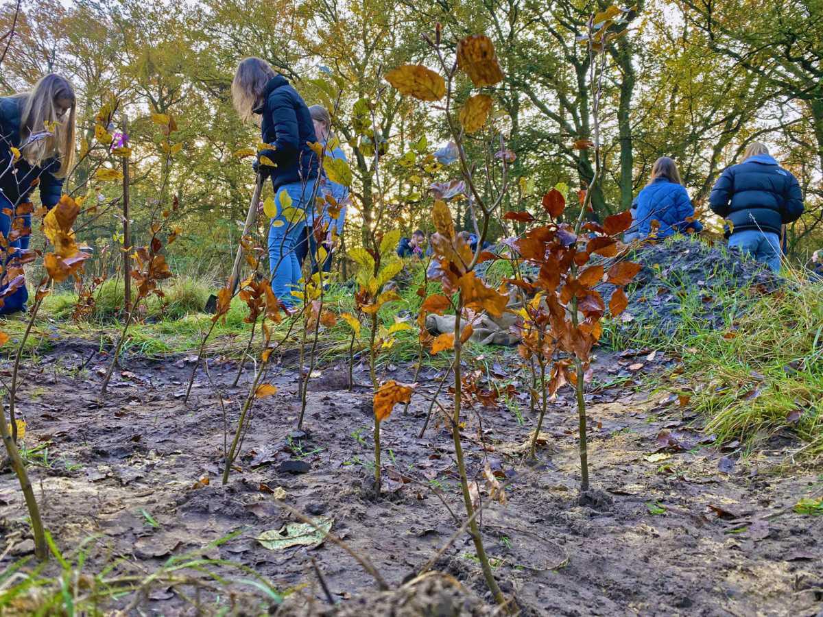 Gymnasium Marianum hat jetzt eigenen Schulwald Gymnasium Marianum hat jetzt eigenen Schulwald