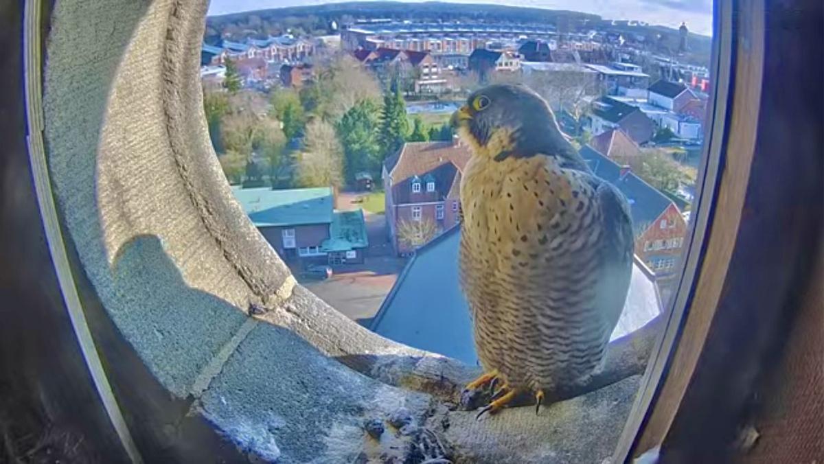 Ein Blick in und aus dem Turm von St. Bonifatius Ein Blick in und aus dem Turm von St. Bonifatius