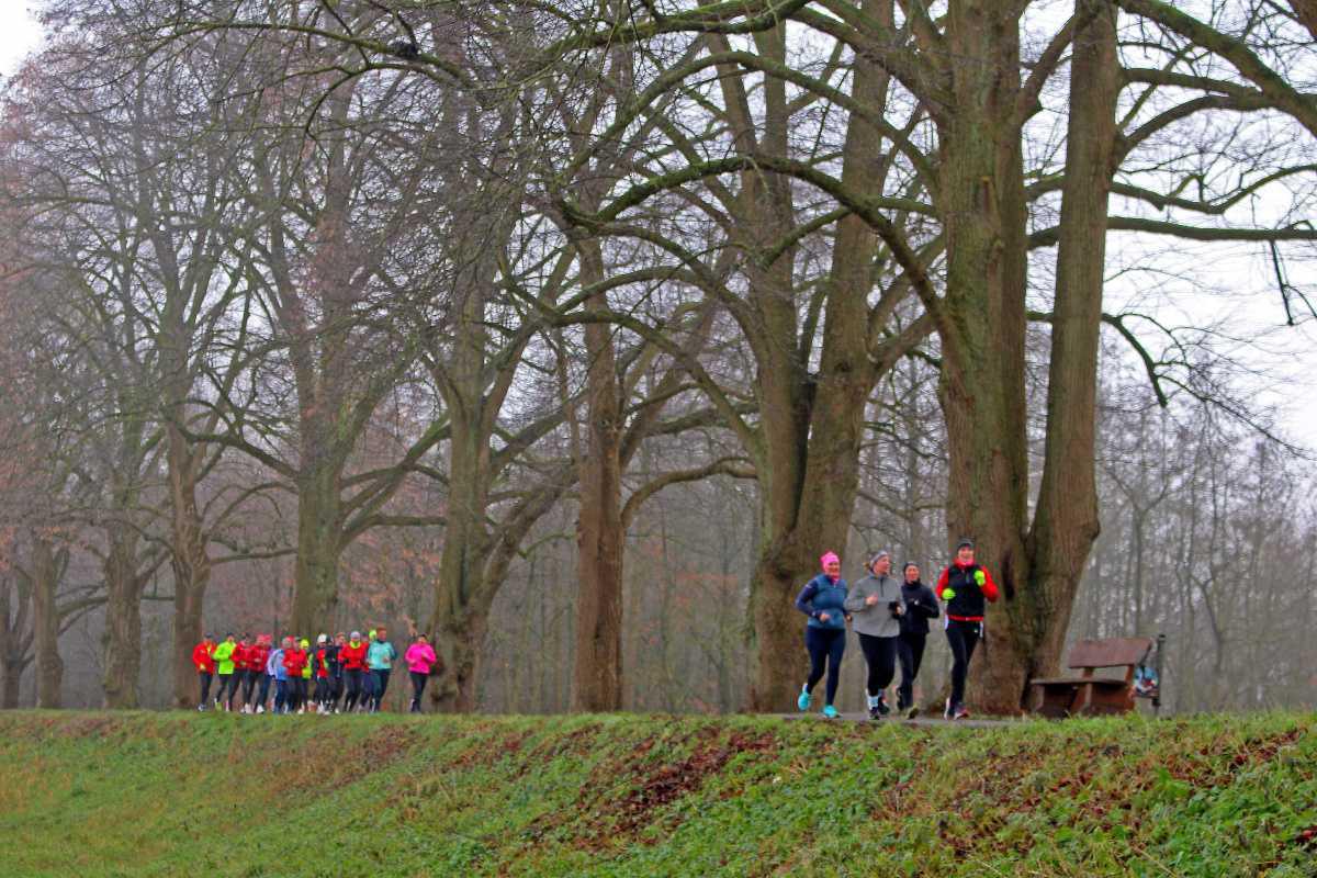 „Lauffreunde Emsland“ feiern 30-jähriges Bestehen „Lauffreunde Emsland“ feiern 30-jähriges Bestehen