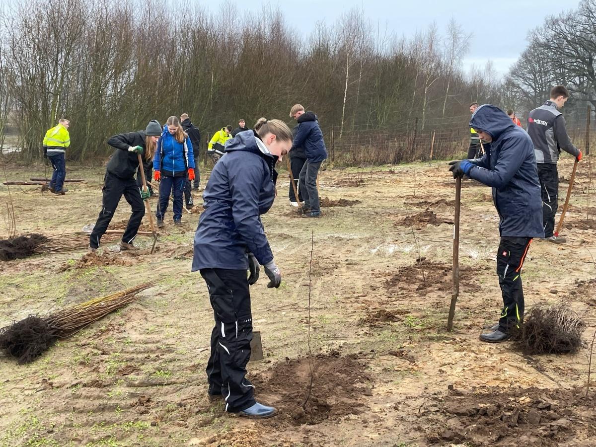 1.000 neue Bäume und Sträucher am Wörmer in Haren
