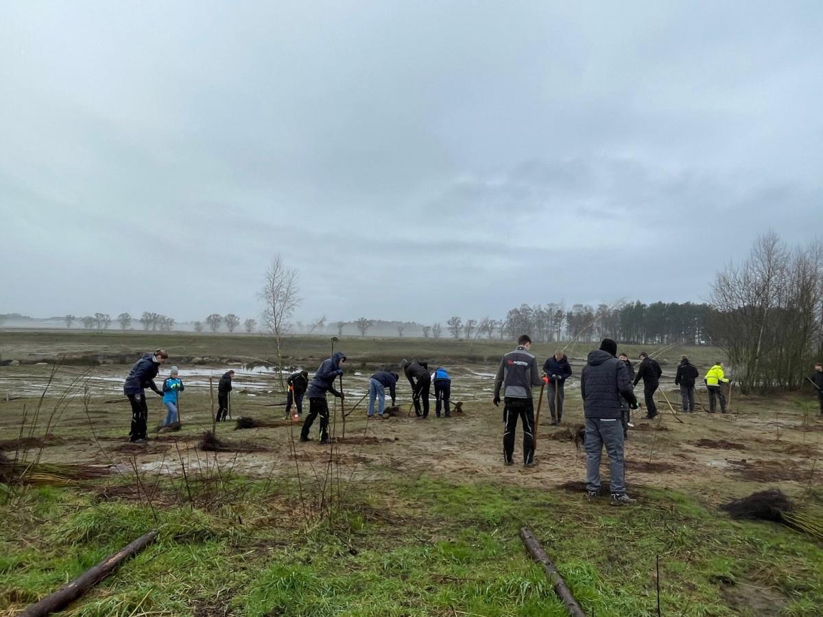 1.000 neue Bäume und Sträucher am Wörmer in Haren