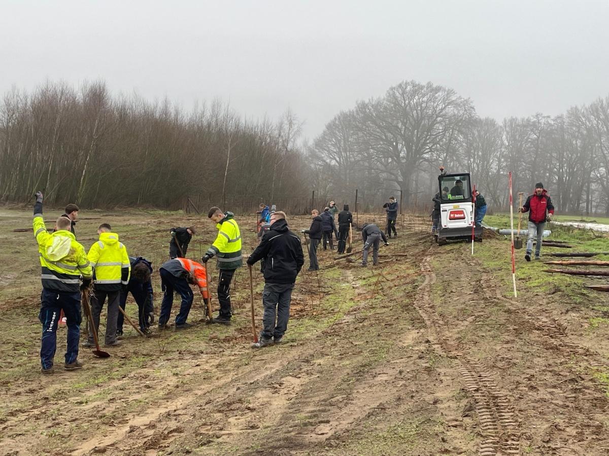 1.000 neue Bäume und Sträucher am Wörmer in Haren