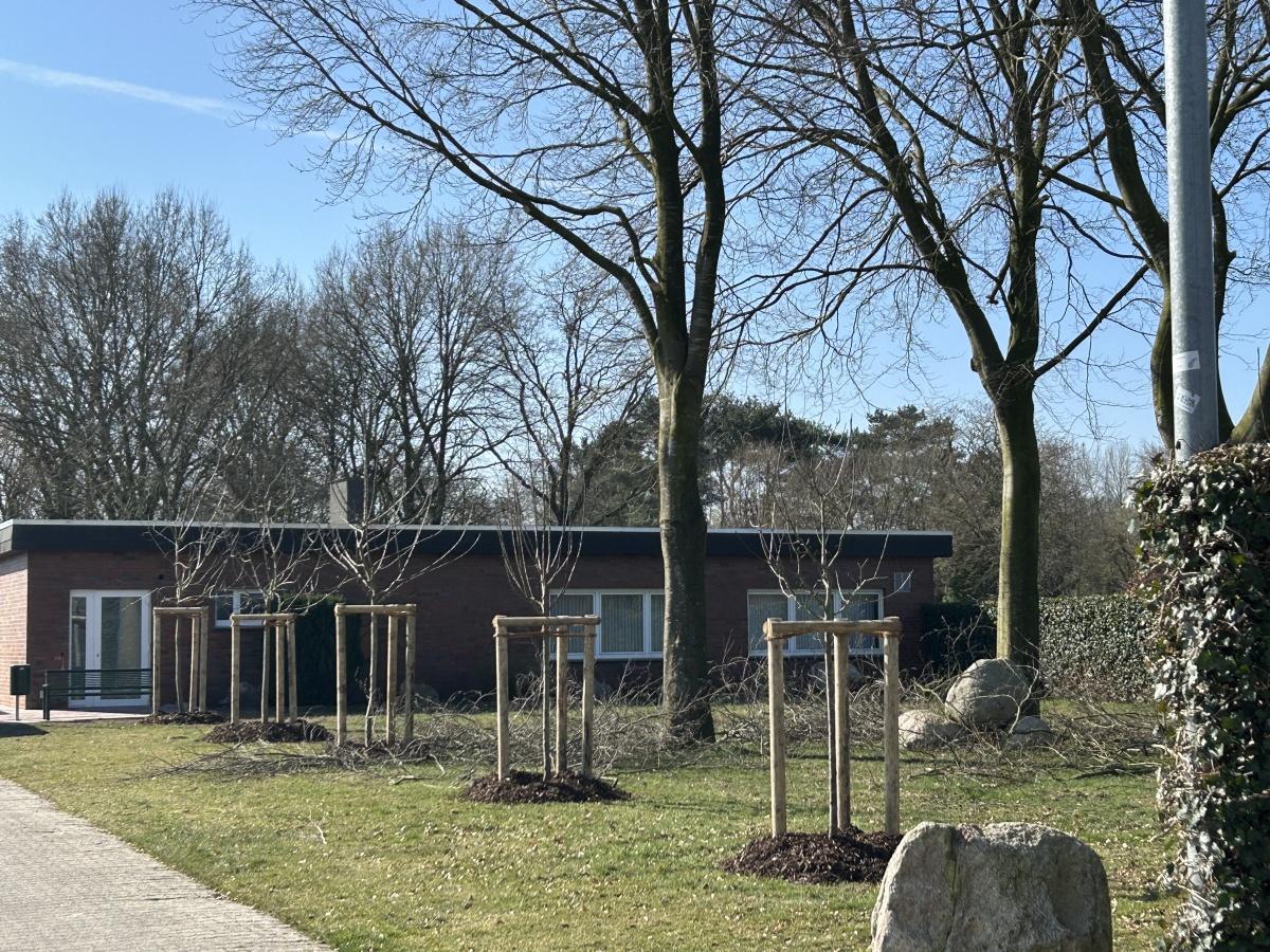 Schützenhalle in Rütenbrock: Sanierung erreicht letzte Phase