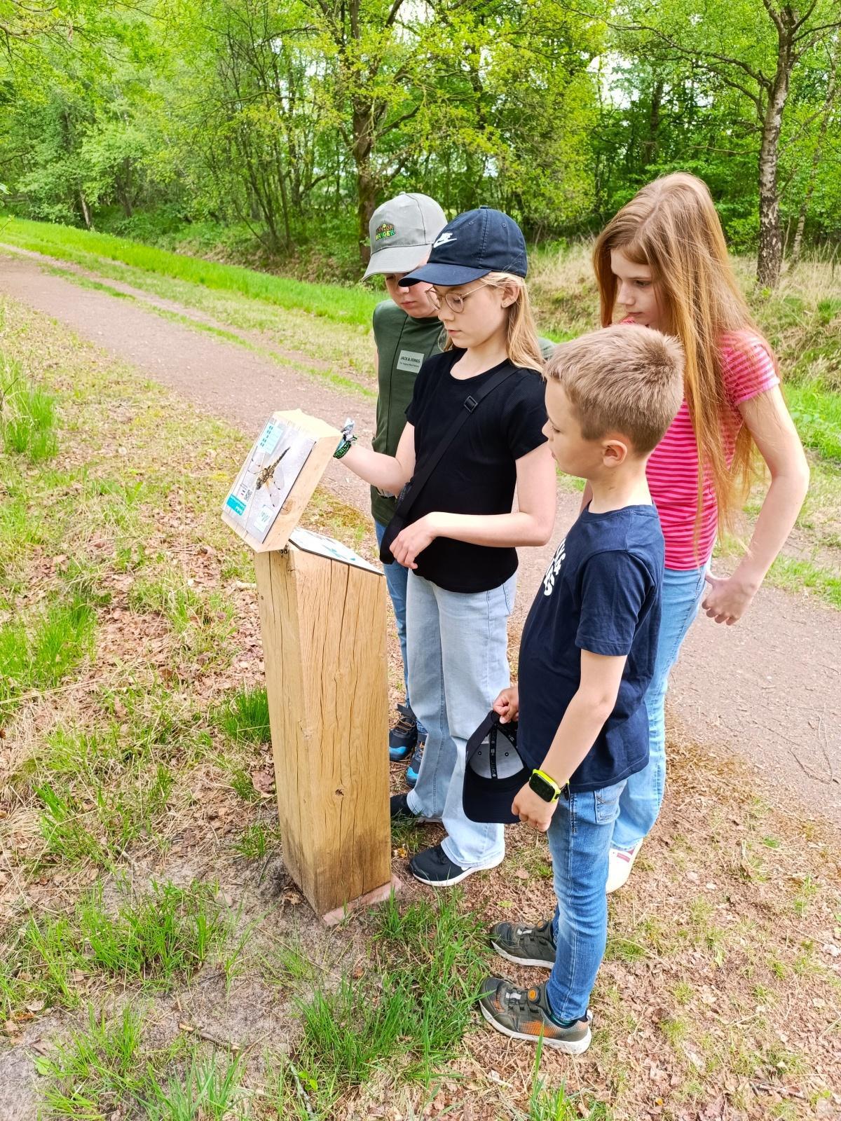 Neue Aktiv-Pfade im Naturpark Bourtanger Moor laden Familien zum Entdecken ein Neue Aktiv-Pfade im Naturpark Bourtanger Moor laden Familien zum Entdecken ein