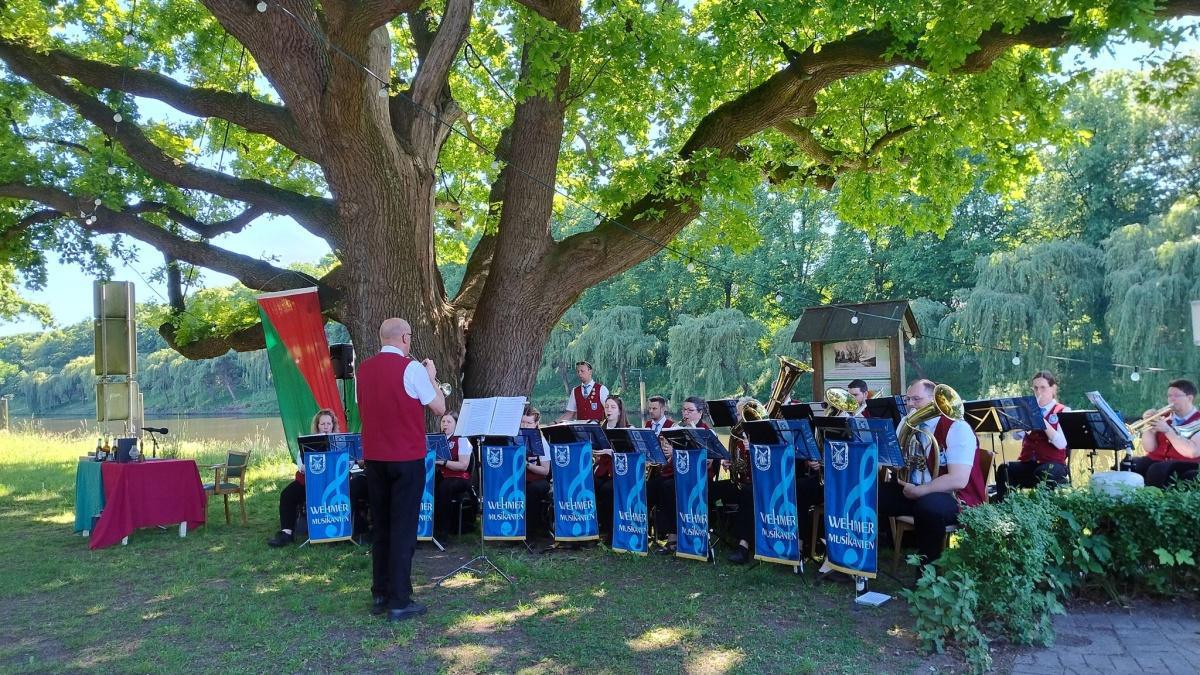 Holt-Thing in Meppen: Historische Inszenierung des Holzgerichts