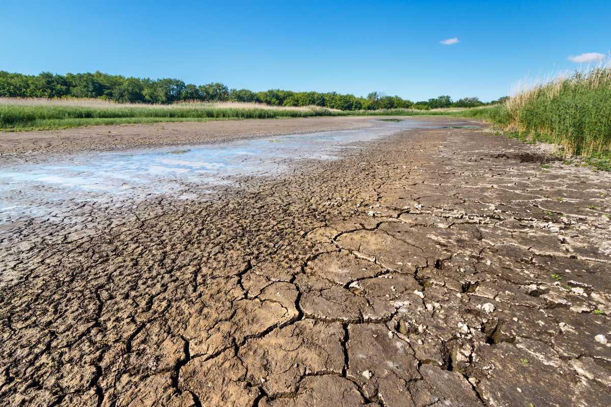 Erhöhte Waldbrandgefahr im Emsland: Landkreis erlässt Verordnung und ruft zum Wassersparen auf Erhöhte Waldbrandgefahr im Emsland: Landkreis erlässt Verordnung und ruft zum Wassersparen auf