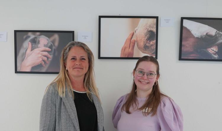Pferde im Fokus: Kunstausstellung „Blickwinkel 48“ in der VHS Meppen