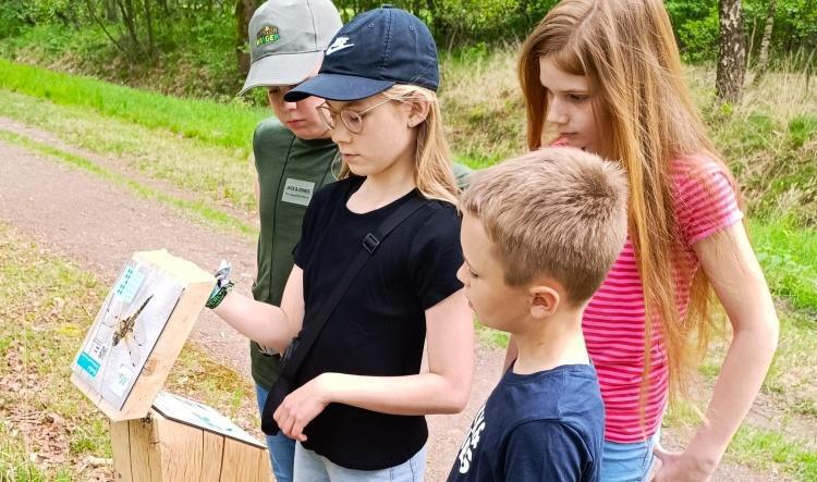 Neue Aktiv-Pfade im Naturpark Bourtanger Moor laden Familien zum Entdecken ein
