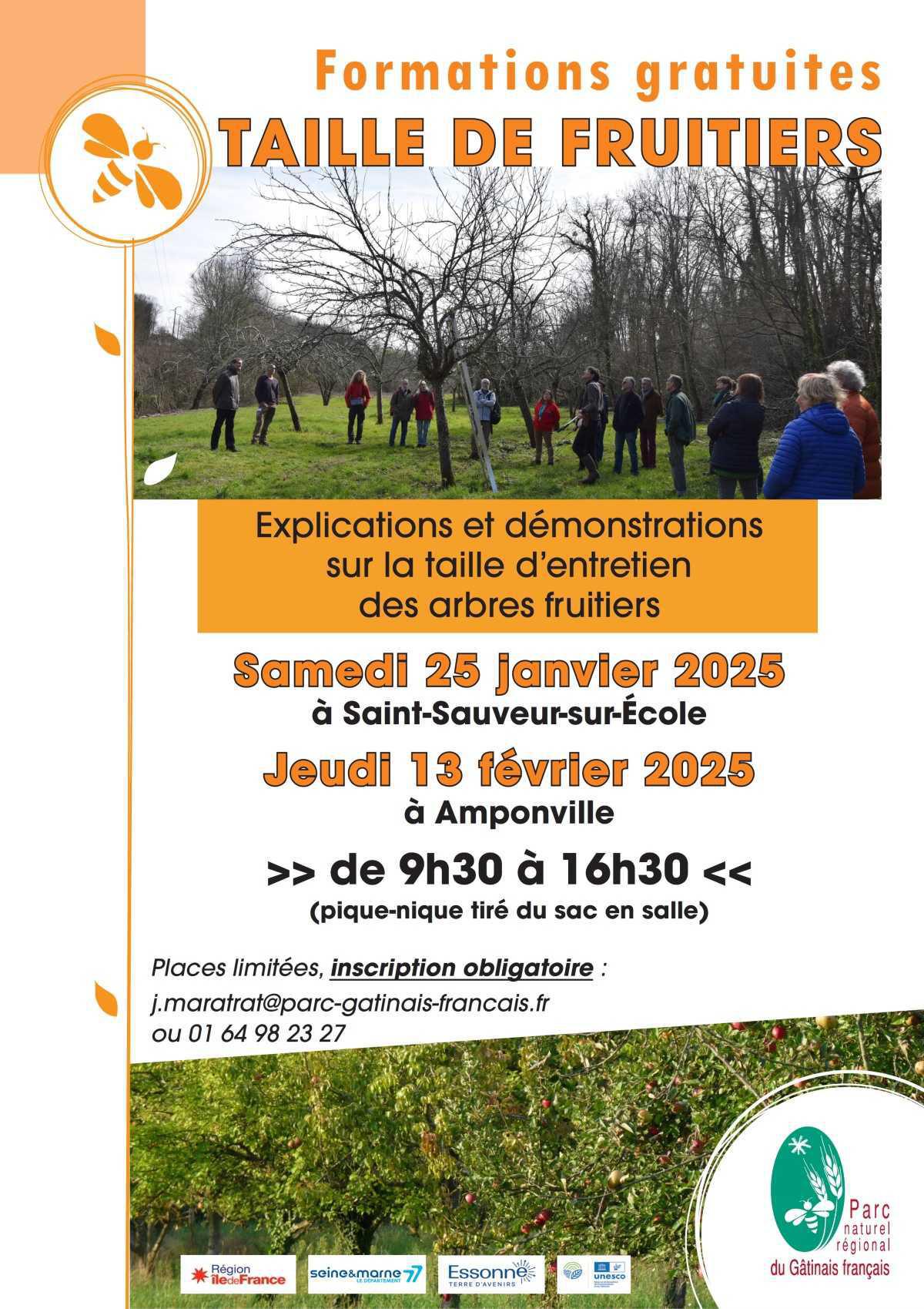 Stage : Taille des arbres fruitiers en forme libre