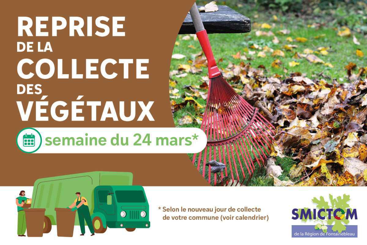 Information collecte des végétaux