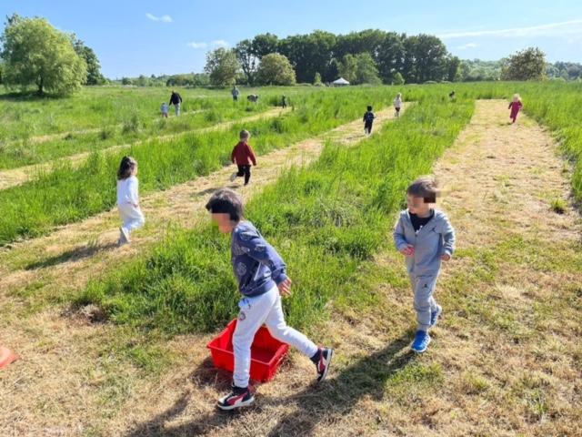 Cross de l'école 2025