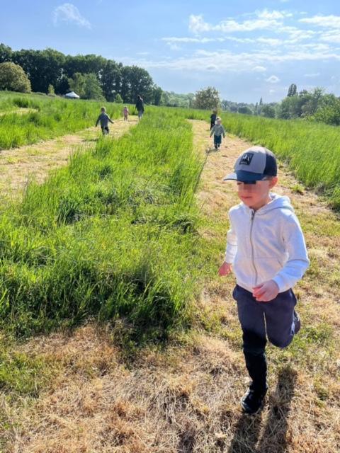 Cross de l'école 2025 Cross de l'école 2025