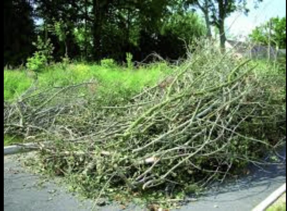 Mise à disposition d'un broyeur à végétaux : 09 au 13 février 2026 Mise à disposition d'un broyeur à végétaux : 09 au 13 février 2026