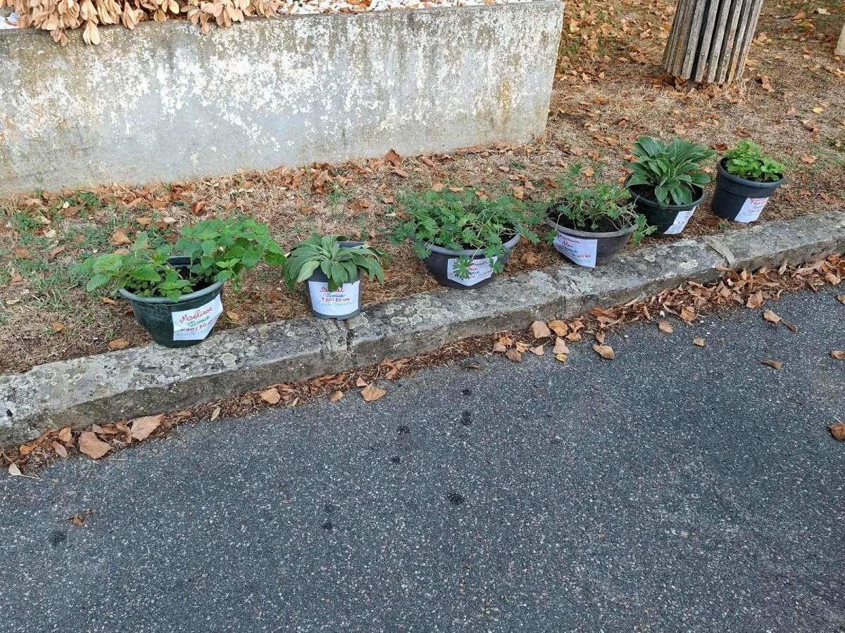 Retour sur le RDV citoyen & Troc' Plantes