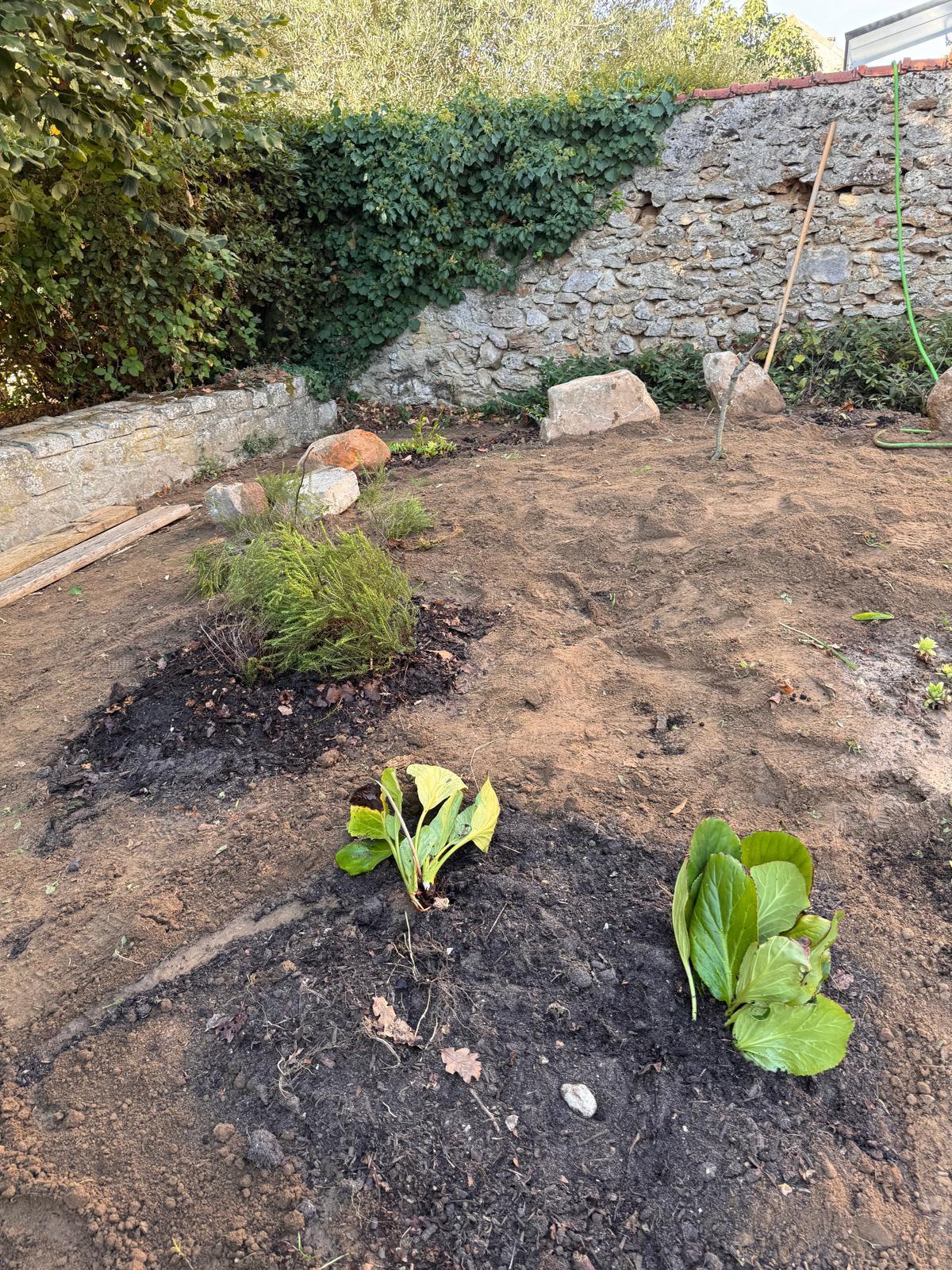 Retour sur le RDV citoyen & Troc' Plantes Retour sur le RDV citoyen & Troc' Plantes