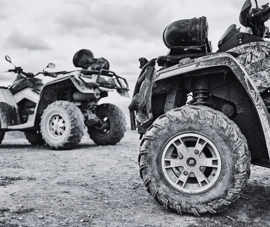 Quadríciculos Quadríciculos