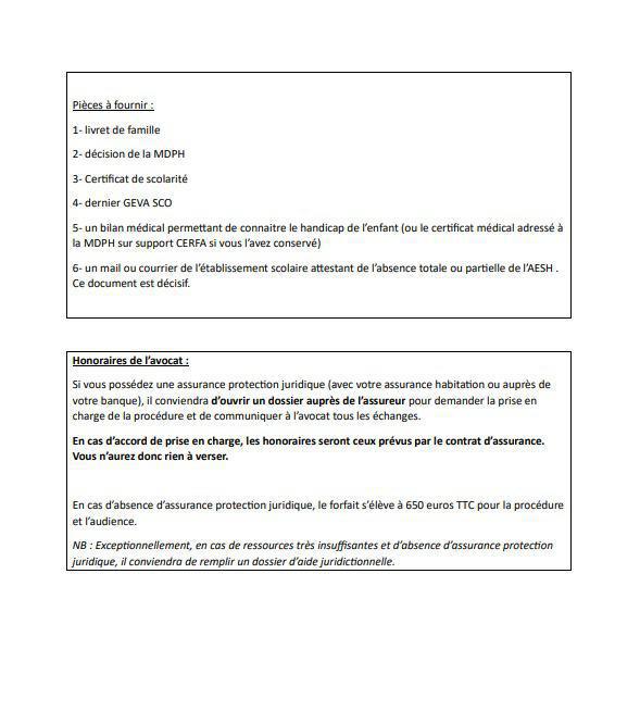 Nathalie Haas, à la tête du pôle handicap scolarité, est devenue secrétaire générale de l'association "EMPATHYPIQUE", tous les dossiers seront désormais traités par ce biais.