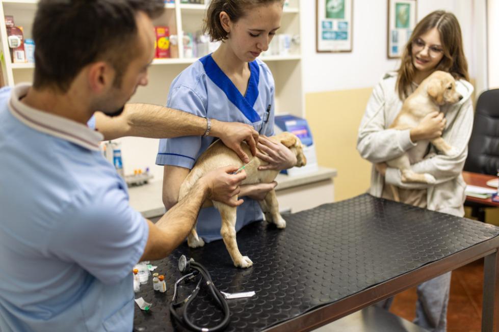 stage de seconde, un questionnaire mis à disposition par la FCPE