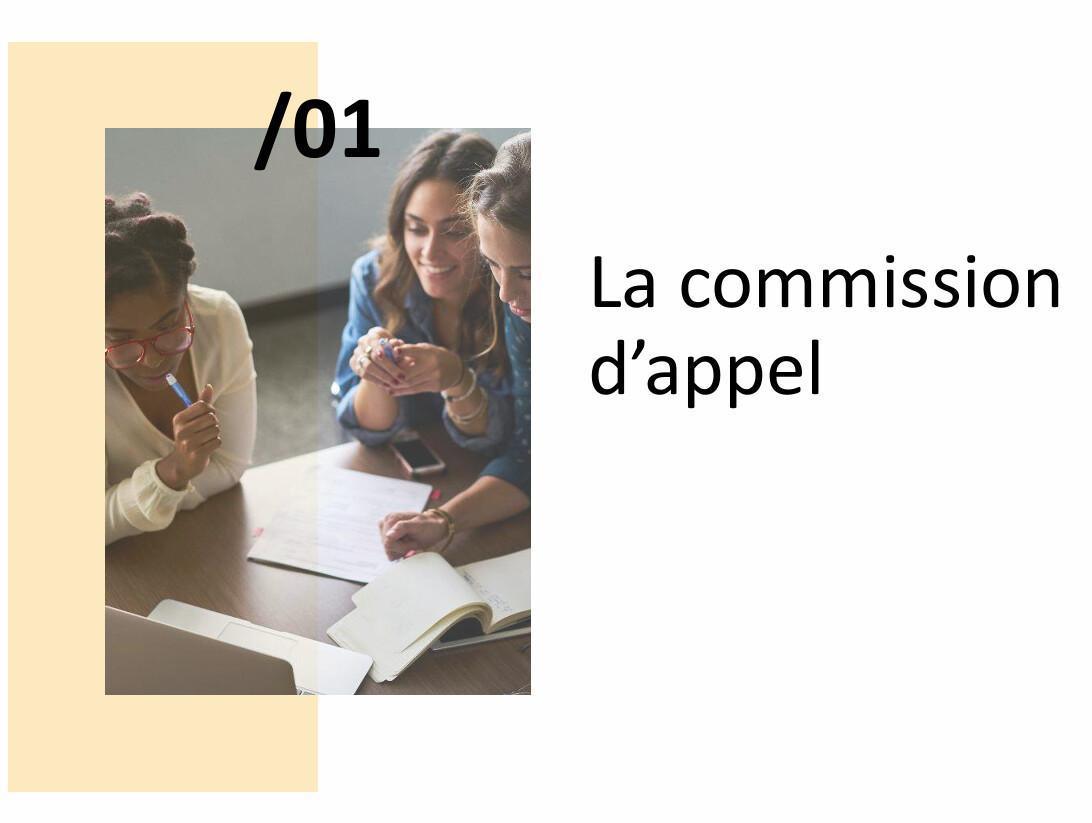 COMMISSIONS D'APPEL: en PJ les ressources pour vous guider, le fichier joint en format pdf qui reprend la classe virtuelle de la FCPE