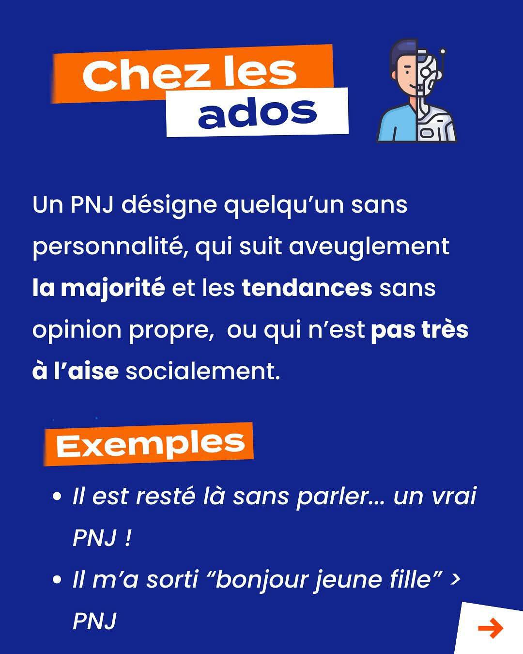 PNJ ça veut dire quoi? Internet Sans Crainte nous informe