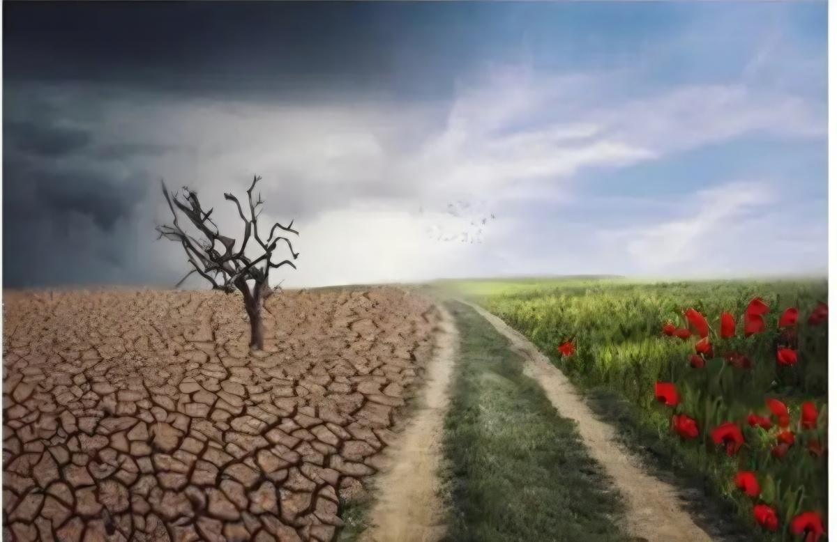 Dîner débat : le dérèglement climatique