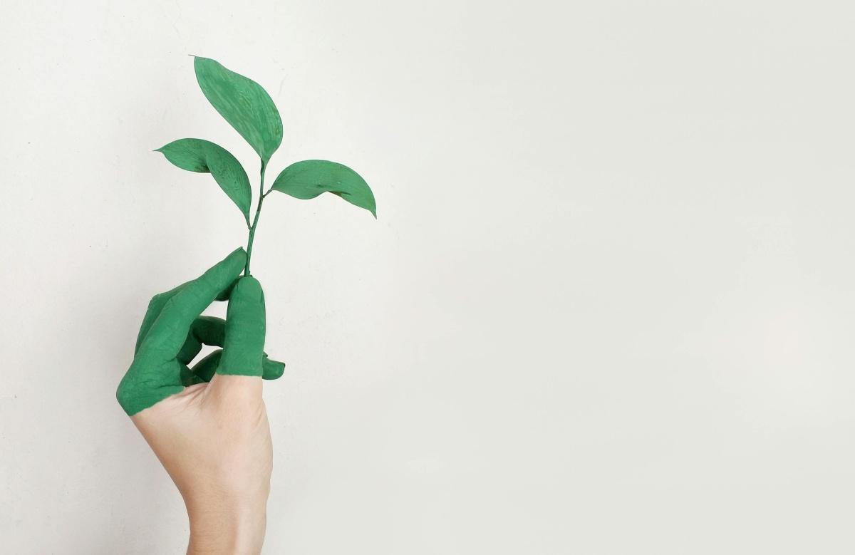 L’écologie au travail : comment concilier performance et responsabilité ? L’écologie au travail : comment concilier performance et responsabilité ?