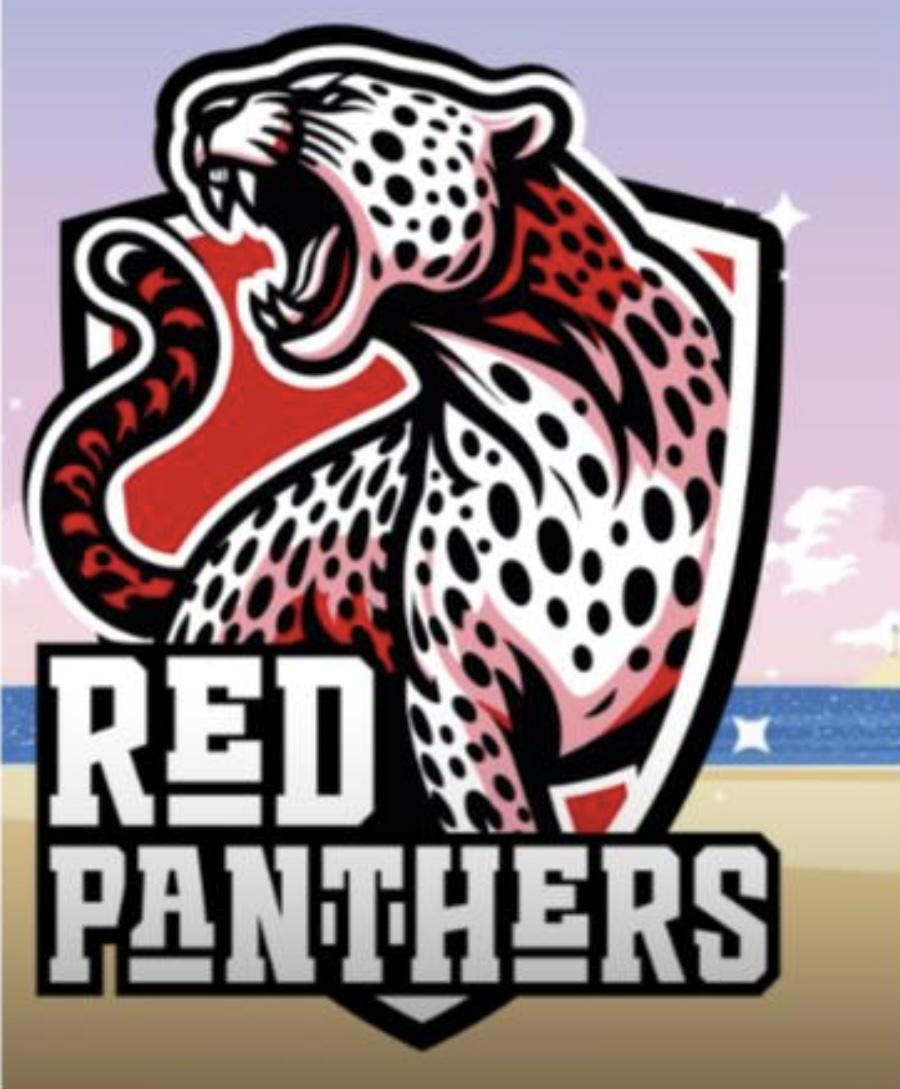 JEU : Dessinez la mascotte des Red Panthers: