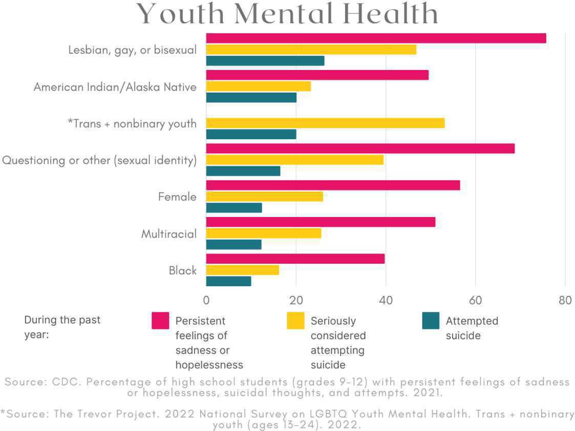 What is Suicide Prevention?