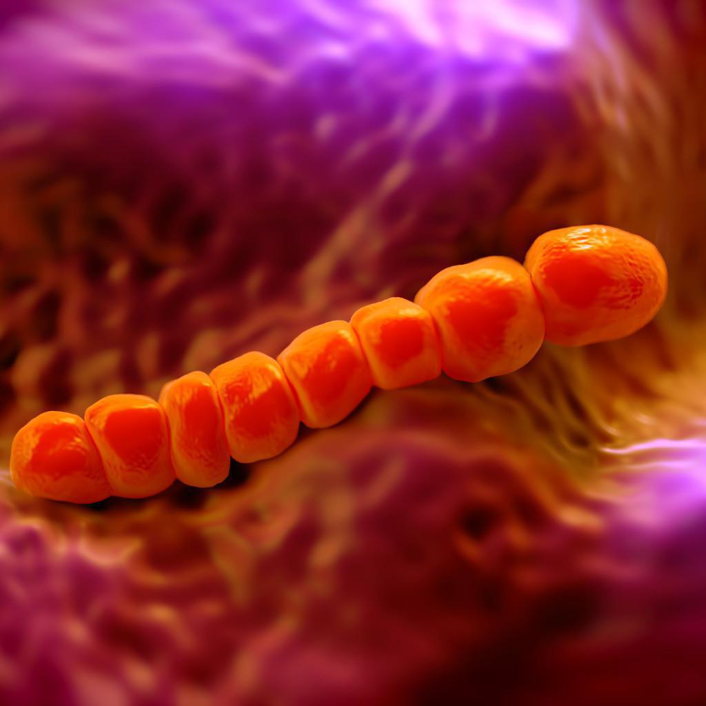 STREPTOCOCCO STREPTOCOCCO