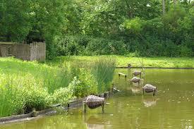 Eendenkooi 't Zand Eendenkooi 't Zand