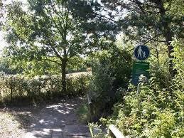 Kooibos Callantsoog