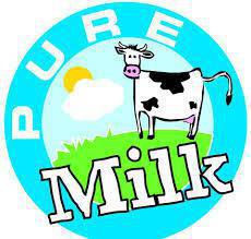 Pure Milk Pure Milk