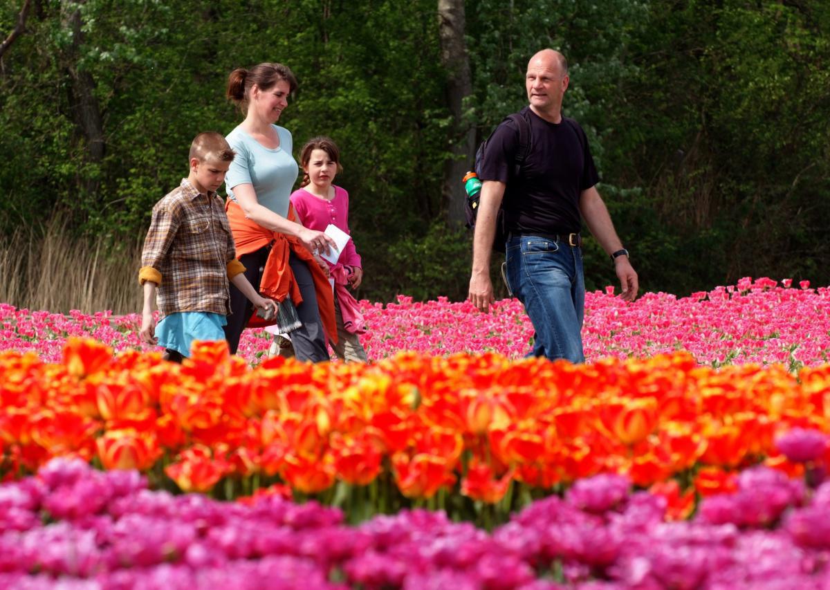 Stichting Bloeiend Zijpe Stichting Bloeiend Zijpe