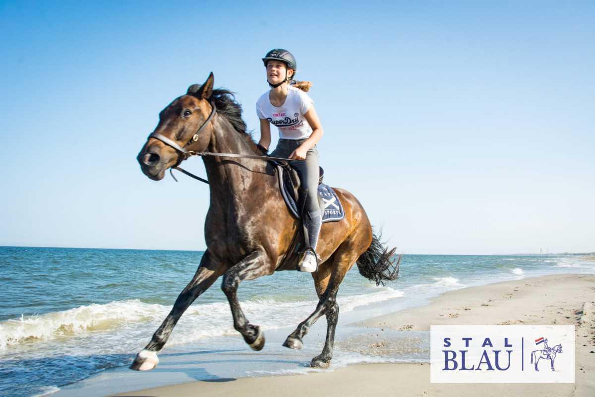 Stal Blau