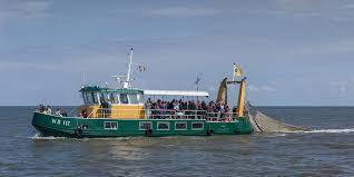 Bootsfahrt/Robbenfahrt - De Groot Recreatie