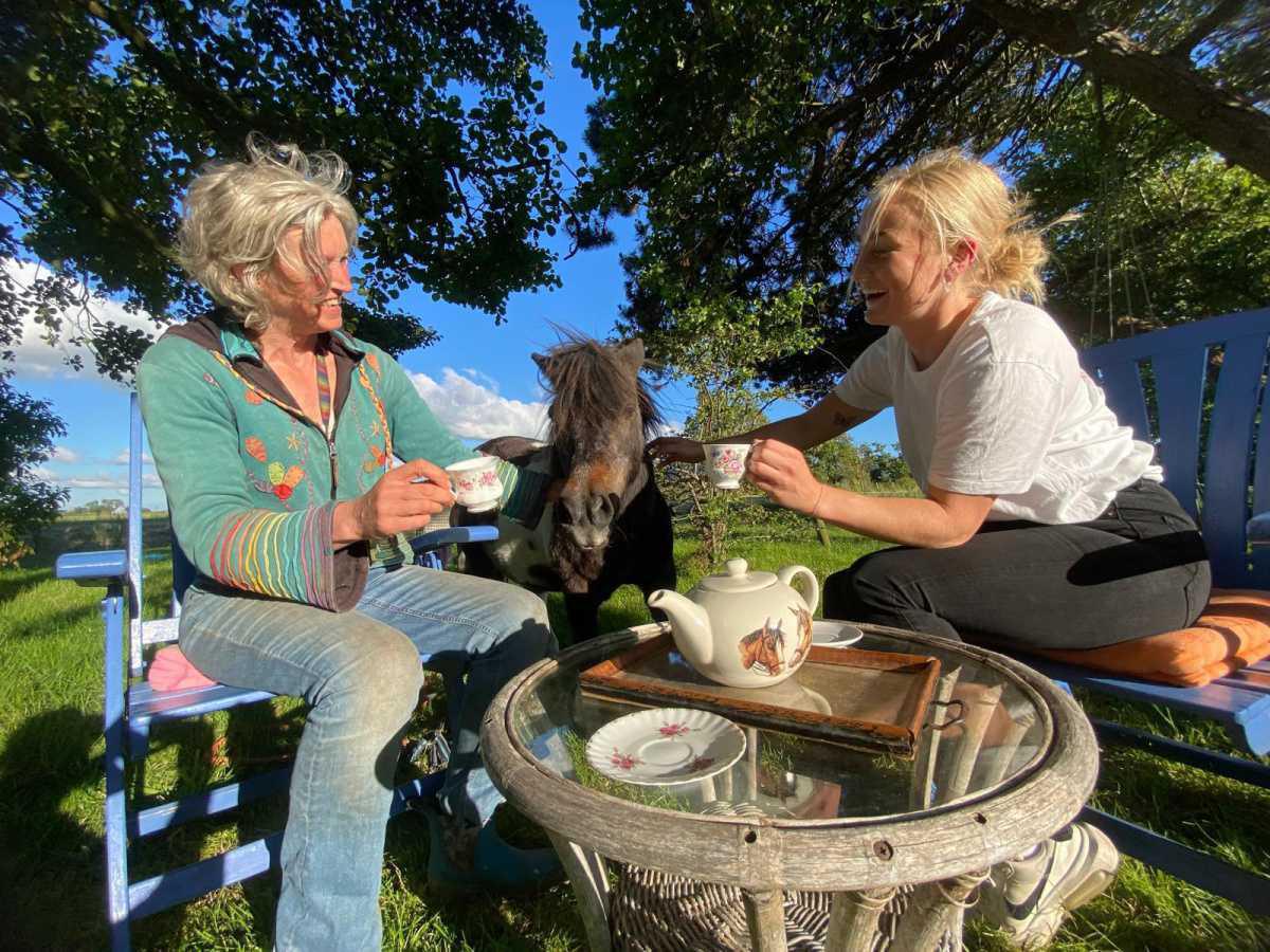 Teegarten Dapper Teegarten Dapper