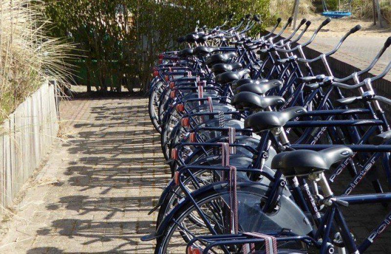 Fietsverhuur Camping SintMaartenszee