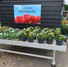 Blumenstall Rustenburg