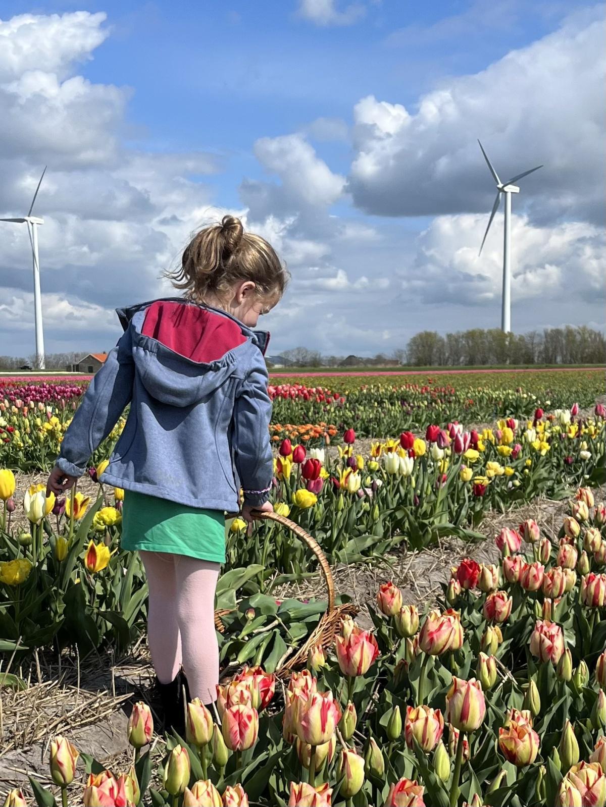 Fluwel's Pluktuin 