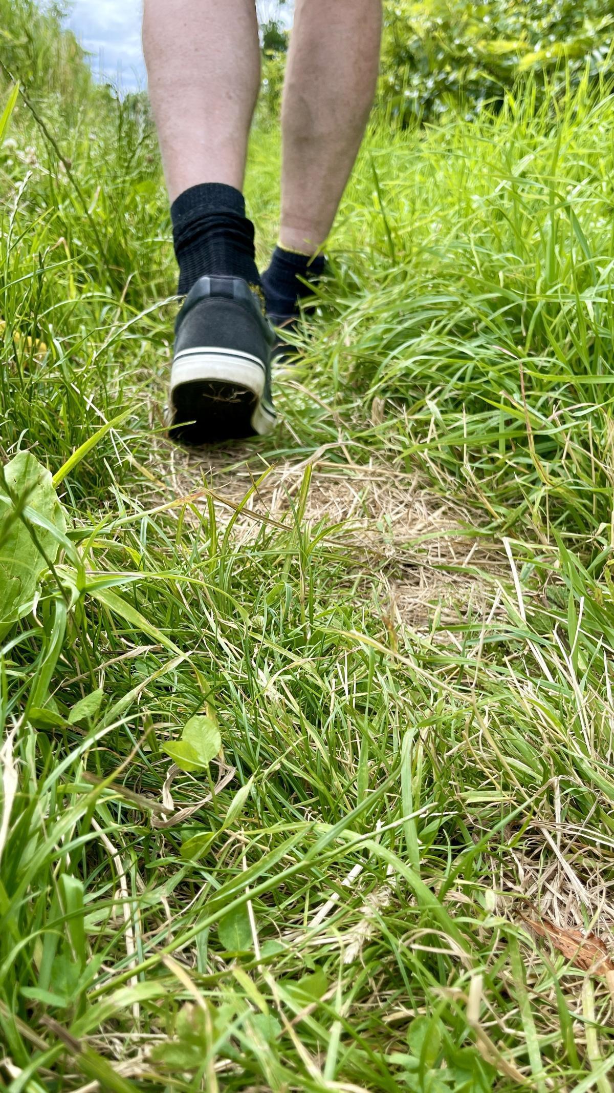 Wandern in Schagen